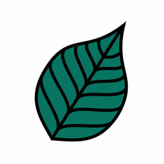 Green leaf on a white background. Vector illustration