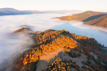 Mountains with colorful trees covered with layer of fog
