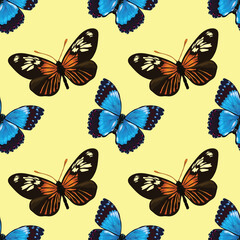 florals butterflies seamless pattern vector design