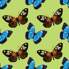 florals butterflies seamless pattern vector design