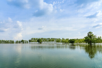 Scenic view of traditional flooded fields like a still lake on floating season in rural Thailand. Landscape of nature in rainy season and storm damage in agriculture. Heavy flood water concept.