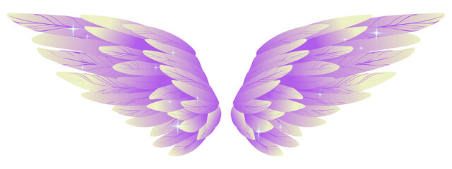 Beautiful bright magic purple yellow wings, color vector illustration