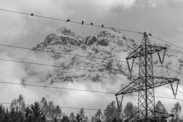 Schneebedeckter Berg mit Strommast und Vögel