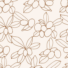 Vector illustration shea branch - vintage engraved style. Seamless pattern in retro botanical style.