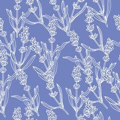 Vector illustration lavender branch - vintage engraved style. Seamless pattern in retro botanical style.