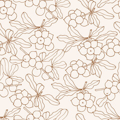 Vector illustration macadamia branch - vintage engraved style. Seamless pattern in retro botanical style. - obrazy, fototapety, plakaty