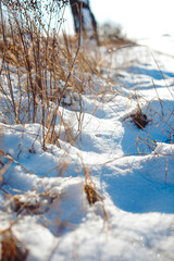 Winter Polish village in white snow