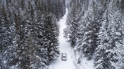 Natural background. Road trip by car through the winter forest.