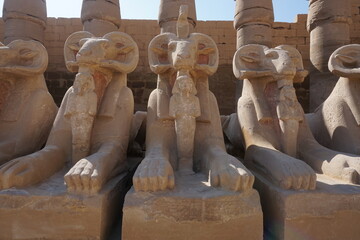 Close-up on ram-headed sphinxes at Karnak Temple, Luxor