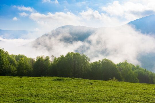 green mountain landscape. gorgeous weather with fog rising above the distant valley. deciduous forest behind the grassy meadow on the hill. beautiful nature scenery in morning light beneath a blue sky