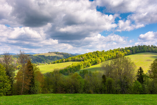 forest on the grassy hills an meadows. nature scenery in spring. sunny weather with clouds. green landscape in dappled light