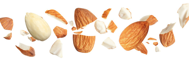 Pieces of tasty almonds falling on white background. Banner design