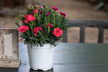 a Bouquet of red flowers in a white bucket on the picnic table