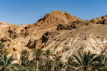 View of Chbika -  mountain oasis in western Tunisia -Tozeur governorate - Tunisia 