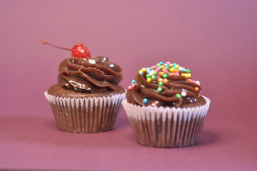 chocolate cupcakes with frosting