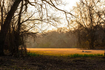 Texas Land