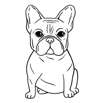 French bulldog black and white hand drawn. French bulldog puppy sitting. French bulldog face in line. Dog head. Cute muzzle French Bulldog.