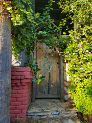 A closed wooden door in a brick wall overgrown with green. Lush green foliage covers the brick wall Turkey, Marmaris,Icmeler 20.12.2021