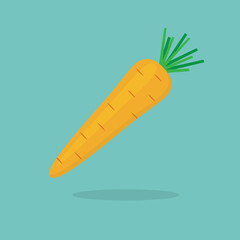 carrot vegetable icon -vector illustration