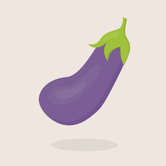 eggplant vegetable icon -vector illustration