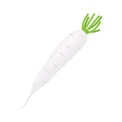 white daikon radish vegetable icon -vector illustration