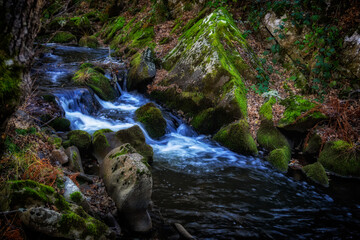 Wild river landscape on a winter morning in the Sanabria region. Castilla and Leon. Spain