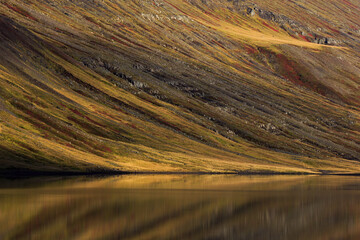 scenic reflection in iceland