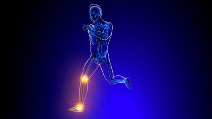 Human skeleton joint pain Anatomy For Medical Concept 3D © mybox