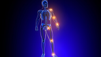 Human skeleton joint pain Anatomy For Medical Concept 3D