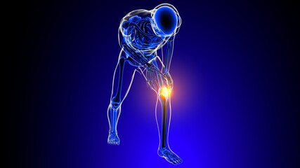 Knee joint pain Anatomy For Medical Concept 3D