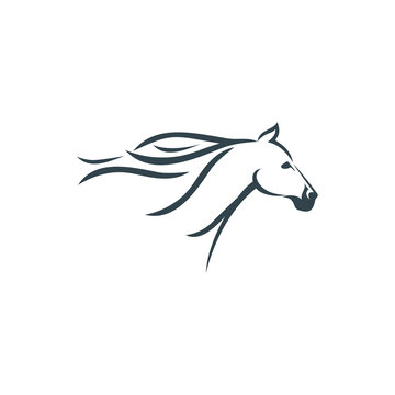 face horse vector logo design