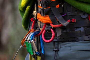 Climbing harness from an arborist