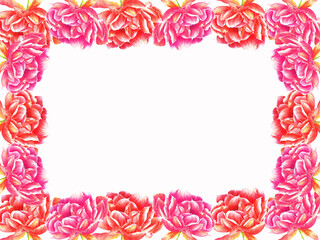 floral frame of watercolor red and pink roses. for decoration of celebrations, congratulations, wedding invitations
