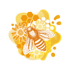 Yellow bee and flower sketch template in modern style on white background. Summer natural organic food. Line art.
