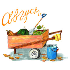 watercolor illustration garden cart with vegetables and shovel,bucket,lettering-august,month,card,postcard