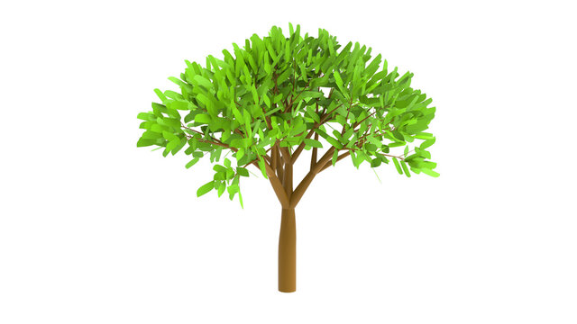 elm tree without shadow 3d render