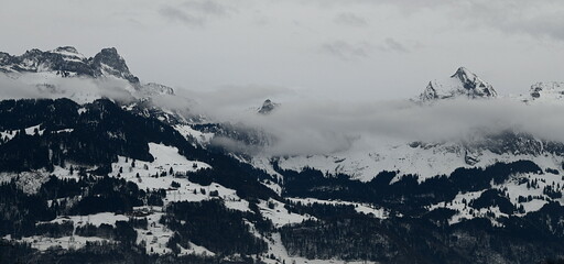 Fototapeta na wymiar suisse alpine
