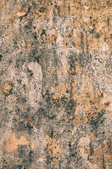 Rough old wall