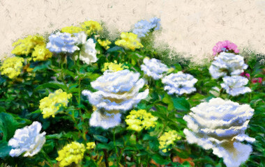 Oil paintings landscape, white roses in the garden, white flowers in the garden