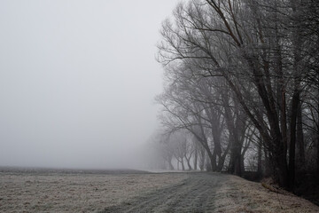 Obraz na płótnie Canvas Winter fog