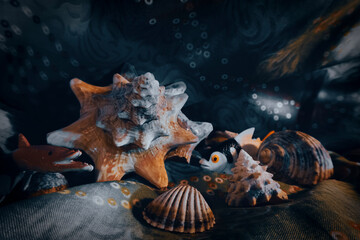 underwater stones and shells lying on a marble background, composition of sea stones and seashells, marine composition, composition of seashells, jellyfish