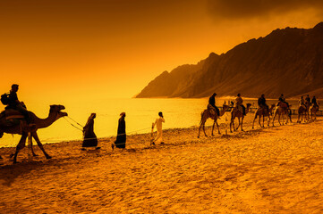 Kamel Reit Touren im Sonnenuntergang am Strand vor einem Gebirge mit Beduinen Führer © Argus