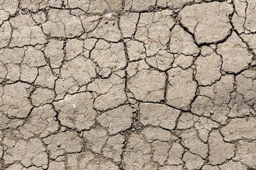 Texture of Brown cracked soil path is in a summer park