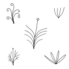 Abstract colorful doodle flower with curls set.