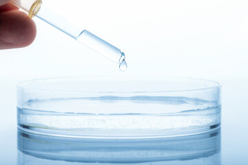 Medicine concept. Petri dish on glossy laboratory table and pipette dropping transparent liquid above it. Analysis, chemical experiment equipment. Blue gradient map filter. Shallow depth of field