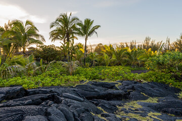 Scenic view of Paradise Park and Paradise Cliffs, Big Island, Hawaii