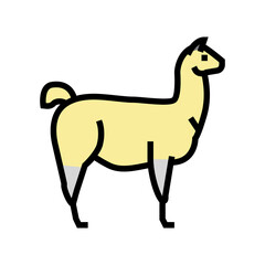 lama wild animal color icon vector. lama wild animal sign. isolated symbol illustration