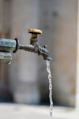 Vintage animal head brass tap with drinking water on the city street, Italy