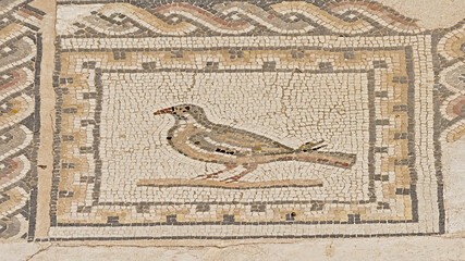 Ornate ancient roman floor tiles depicting a bird, detail of Ruins of Italica, Roman city in the...
