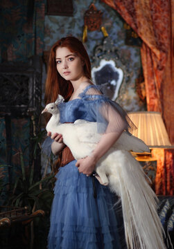Young red haired woman in long blue dress holding white peacock in hands in vintage room. Fantasy portrait of a girl with bird 